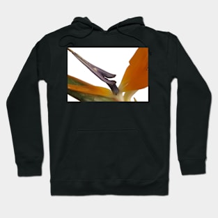 Bird of Paradise Hoodie